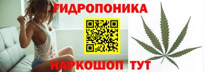 2c-b Моздок