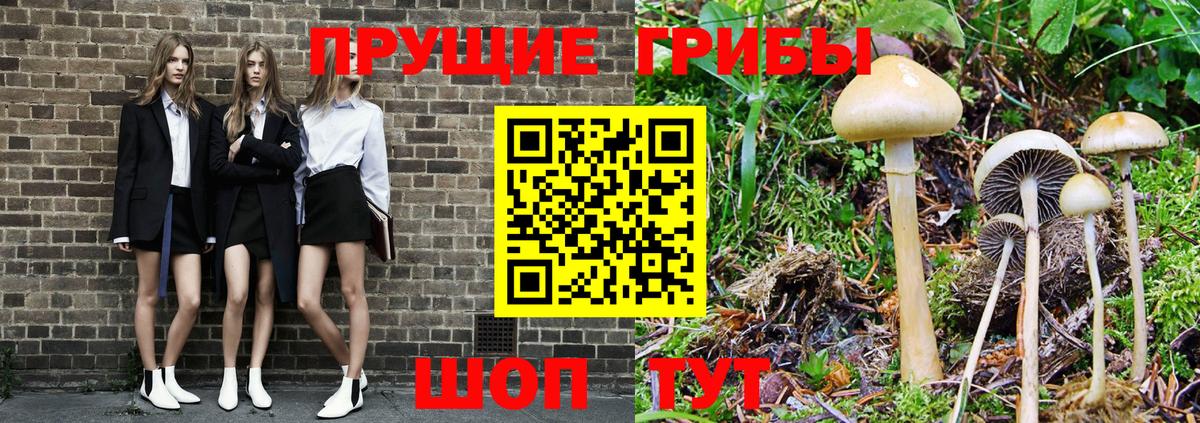 Псилоцибиновые грибы GOLDEN TEACHER Томск